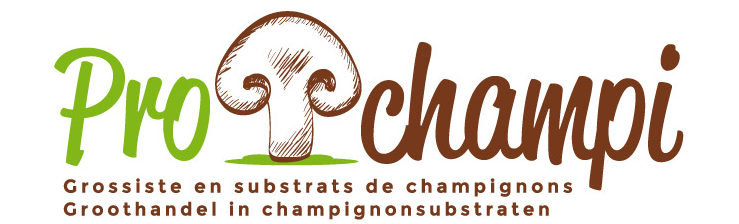 Champignon Brun de Paris, Champi kit