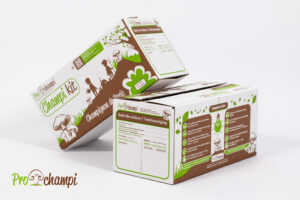 Champi kit Paris Blanc BIO