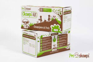 Champi kit Paris Brun