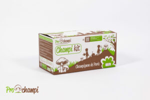 Champi kit Paris Brun BIO