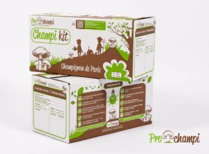 Champi kit Paris Blanc BIO